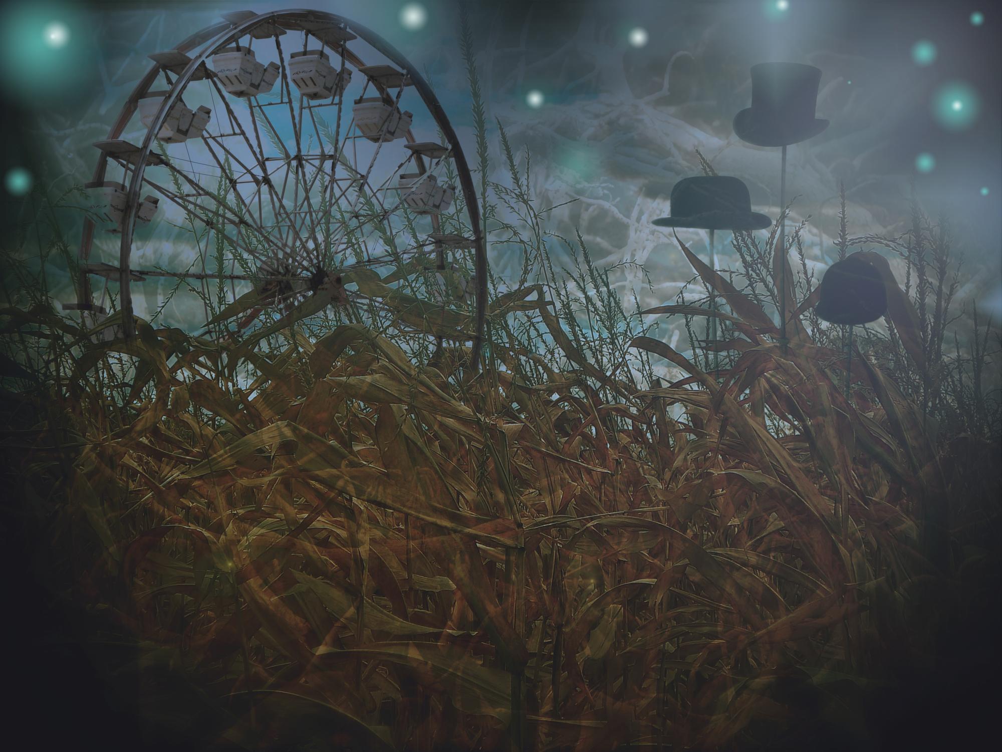 Ferris Wheel Corn Field.